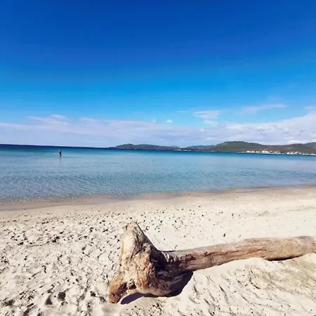 In Near Centre Alghero